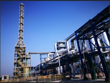 浙江巴陵恒逸己內(nèi)酰胺有限責(zé)任公司