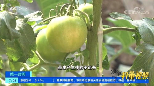 速看 農業(yè)農村部 全面推進食用農產品合格證制度
