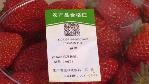 鄉(xiāng)村振興 江蘇常州 以 品質 出 品牌 信息化助力打響農產品品牌 常 字號