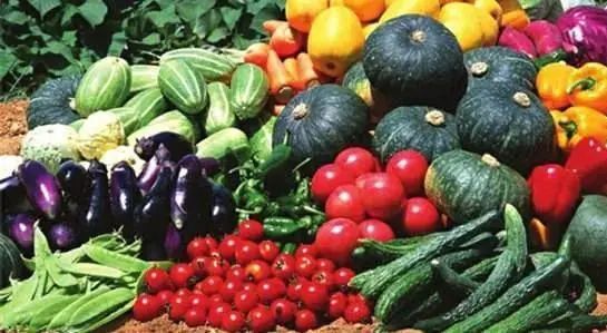 【農(nóng)業(yè)科普小知識】食用農(nóng)產(chǎn)品合格證是什么?