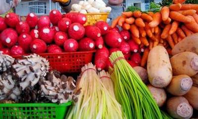 近期哪些蔬菜農(nóng)殘高 8月深圳食用農(nóng)產(chǎn)品質(zhì)量安全監(jiān)測結(jié)果出爐(4)