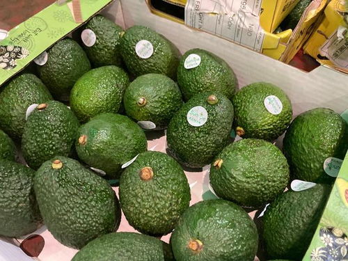 首批非洲輸華鮮食牛油果上海入境