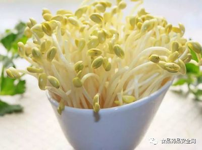 豆芽監(jiān)管職責(zé)分工;豆芽是屬于蔬菜(即食用農(nóng)產(chǎn)品)還是加工食品的定性爭議問題?僅供參考