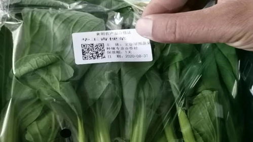 溯質食用農產品合格證 助力威海文登品牌興農