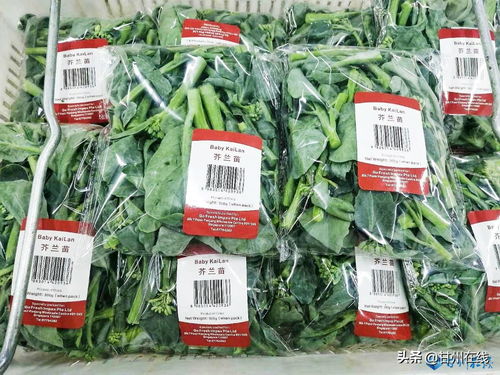 甘州 全力打造 甘州綠鮮 食用產(chǎn)品區(qū)域品牌