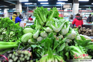 1月份菜價(jià)比上月漲16.6 預(yù)計(jì)節(jié)后或回落