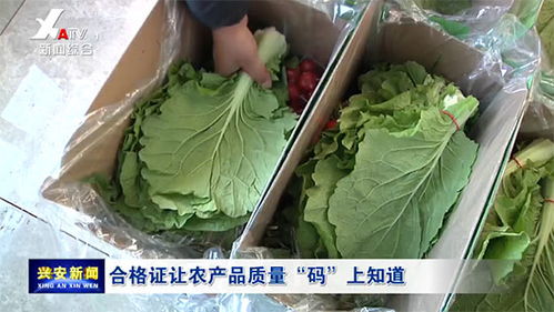 合格證讓農(nóng)產(chǎn)品質(zhì)量 碼 上知道