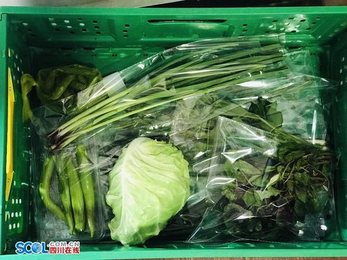 樂山啟動食用農(nóng)產(chǎn)品合格證制度試點 800噸農(nóng)產(chǎn)品用上新名片