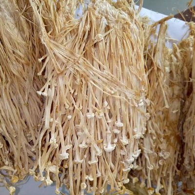 金針菇干貨 食用菌農(nóng)產(chǎn)品無硫 酒店食材及工廠提煉 批發(fā)聚劃算