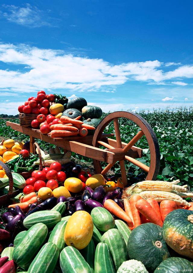 孫海山律師解讀:新食用農(nóng)產(chǎn)品銷售監(jiān)管辦法來了!