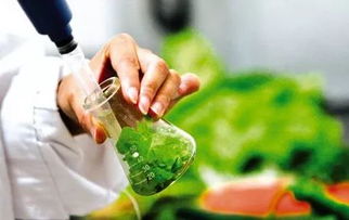 銀川 快檢食品及農(nóng)產(chǎn)品合格率達(dá)99.6