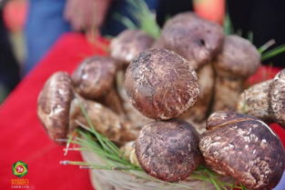 楚雄州優(yōu)質(zhì)農(nóng)產(chǎn)品在滬 圈粉 ,7種產(chǎn)品入選上海市對(duì)口幫扶地區(qū) 百縣百品 名錄