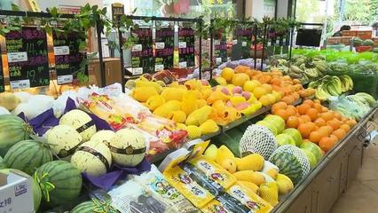 供廈食品有標準了!土筍凍、馬蹄酥 今后請認準這個標志
