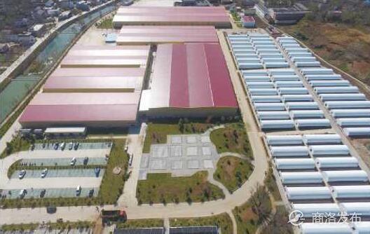 商州區(qū)萬噸食用菌生產(chǎn)加工項目