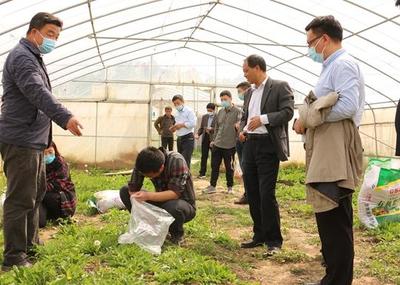 農(nóng)業(yè)農(nóng)村部到中牟縣調(diào)研食用農(nóng)產(chǎn)品合格證制度試行情況