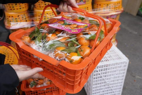 保障春節(jié)過(guò)得好,各項(xiàng)重大舉措看過(guò)來(lái)