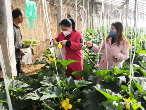 2020年一季度重點(diǎn)工作觀摩點(diǎn)評(píng)亮點(diǎn)單位 農(nóng)業(yè)農(nóng)村局