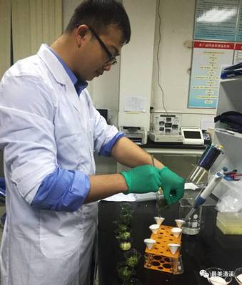 清溪食藥監(jiān)分局今年已完成食品藥品抽(快)檢任務(wù)270批次!