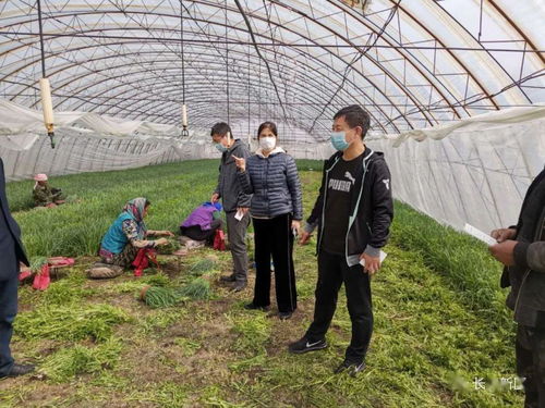 長(zhǎng)春新區(qū)全面啟動(dòng)食用農(nóng)產(chǎn)品合格證試行工作