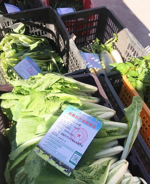 西藏已累計(jì)出具食用農(nóng)產(chǎn)品合格證4697張