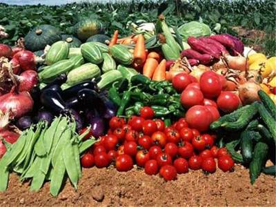 掃碼就能知道你買(mǎi)的菜來(lái)自哪里,廣州啟用農(nóng)產(chǎn)品溯源云平臺(tái)