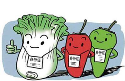農(nóng)業(yè)農(nóng)村部:食用農(nóng)產(chǎn)品合格證制度全國推廣 看6大試點省怎么做!