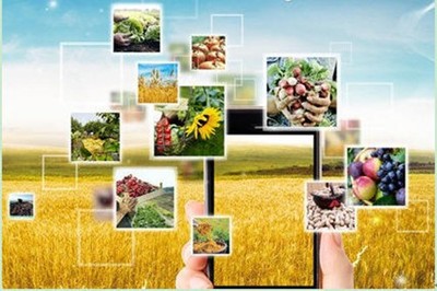 農(nóng)業(yè)大數(shù)據(jù)如何保證食用農(nóng)產(chǎn)品安全