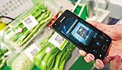 “兄弟,你老家在哪啊?”陽江的農(nóng)產(chǎn)品也有了“身份證”!