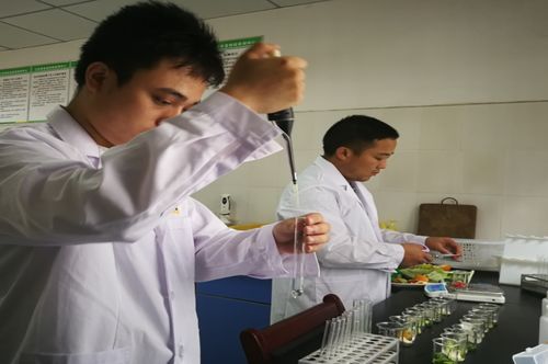 江安縣檢測中心開展高考前食用農產品抽檢