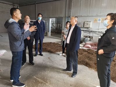 九三學社武威市委員會開展武威市食用菌產業(yè)發(fā)展情況調研