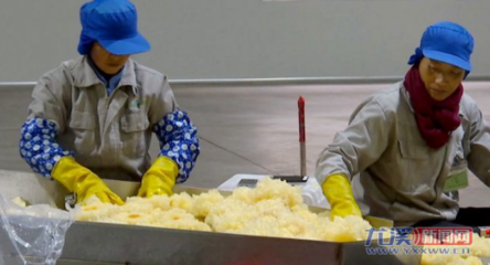 會(huì)員動(dòng)態(tài)丨祥云生物:專(zhuān)注技術(shù)研發(fā) 實(shí)現(xiàn)產(chǎn)銷(xiāo)兩豐收