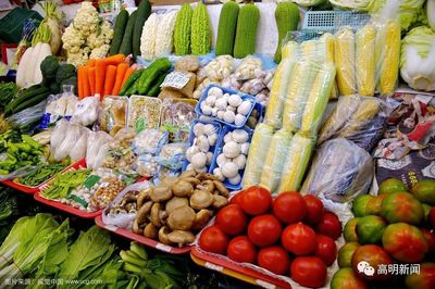 高明食用農產品快檢室即投入使用,再不用擔心食物不安全_財經_網