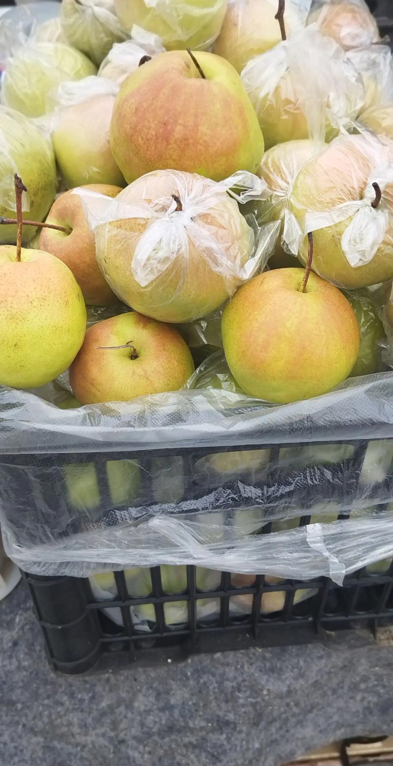 自產(chǎn)自銷優(yōu)質(zhì)農(nóng)產(chǎn)品玉露香梨全國包郵