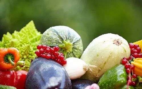 食用農(nóng)產(chǎn)品合格證意義重大 如何助推地方政府和農(nóng)企快速落地