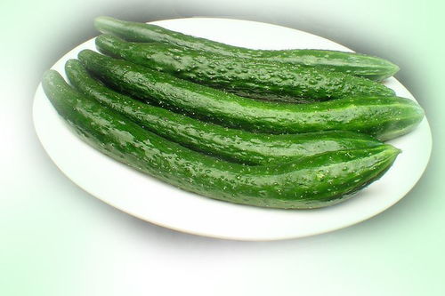 定安6批次食用農(nóng)產(chǎn)品不合格,涉雞蛋 青瓜 基圍蝦等