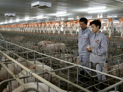 【鄉(xiāng)村振興】宿遷:重大項目固根基 “農(nóng)”墨重彩開新局