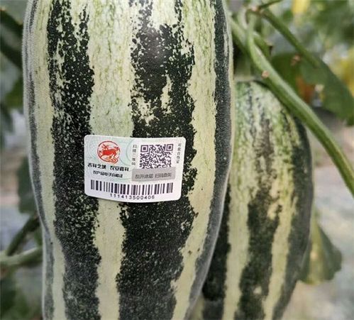 食用農(nóng)產(chǎn)品合格證制度 嘉祥縣農(nóng)產(chǎn)品有了 身份證