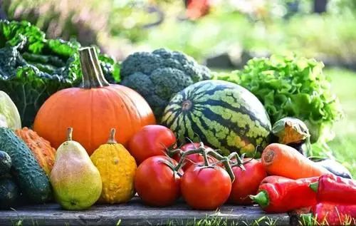 加快農(nóng)產(chǎn)品品質(zhì)標(biāo)準(zhǔn)制定 滿足人們對(duì)高品質(zhì)生活的追求