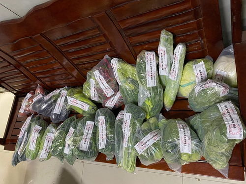 陽(yáng)朔縣市場(chǎng)監(jiān)管局 開(kāi)展食用農(nóng)產(chǎn)品監(jiān)... 陽(yáng)朔動(dòng)態(tài) 陽(yáng)朔縣人民政府門(mén)戶(hù)網(wǎng)站