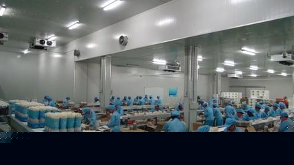 一場一品丨五四農(nóng)場的九道菇 從田間到餐桌的綠色產(chǎn)業(yè)鏈