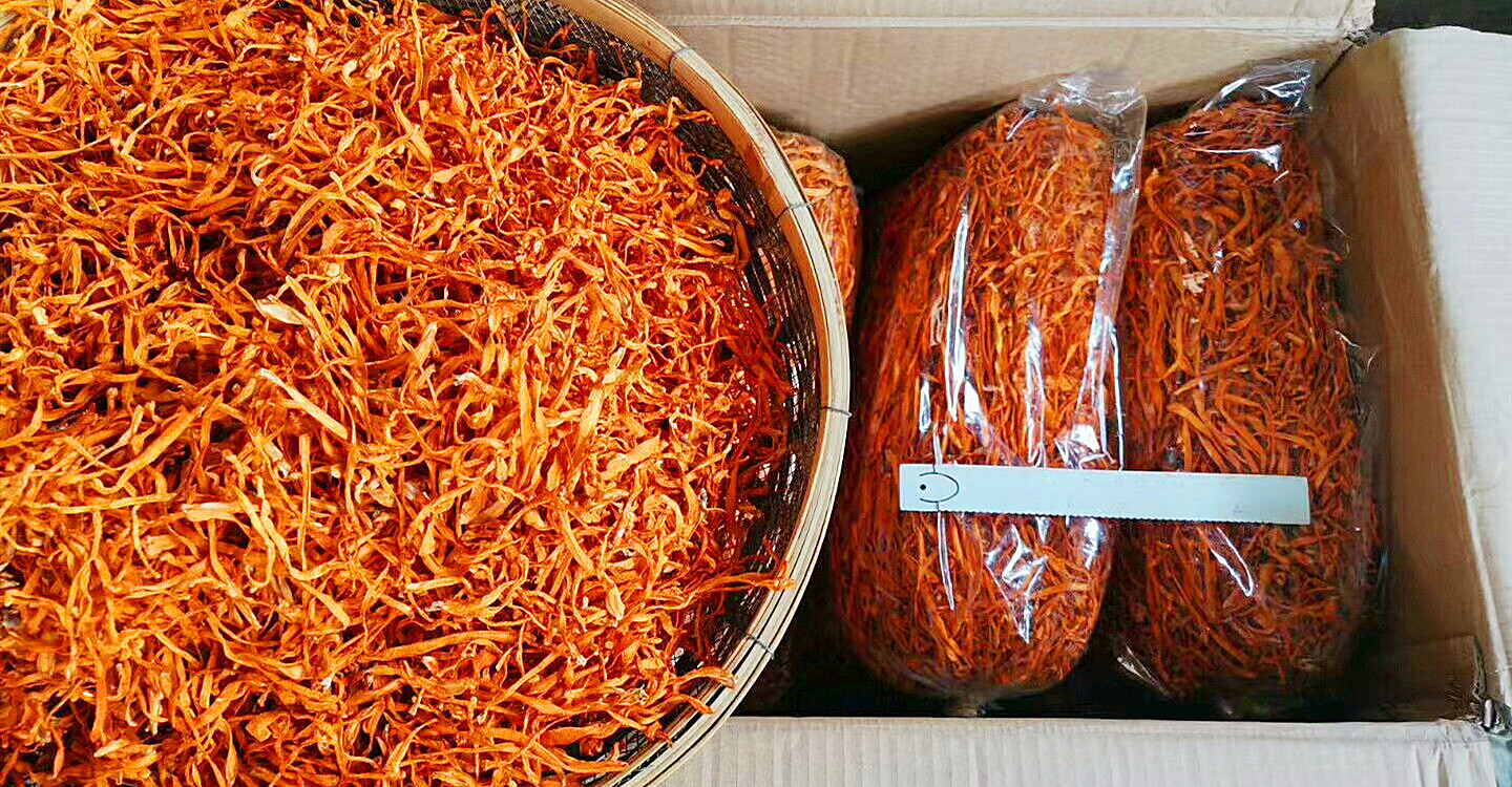 特產(chǎn)蟲草花干貨 北蟲草與蛹蟲草的食用價(jià)值與代發(fā)優(yōu)勢