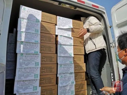 鄭州全面推行新版食用農(nóng)產(chǎn)品合格證 保障食品安全